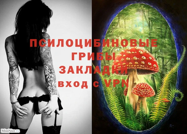 мет Абаза