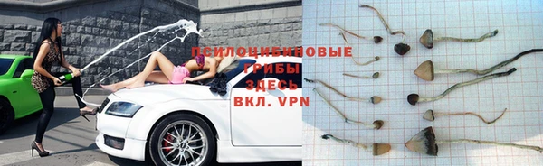 мет Абаза