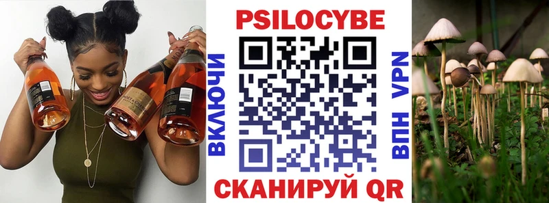 darknet официальный сайт Тырныауз Псилоцибиновые грибы мицелий наркота